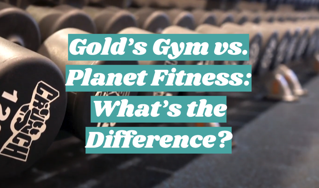 Gold’s Gym vs. Fitness What’s the Difference? FitnessProfy