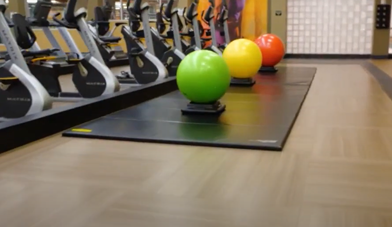 LA Fitness vs. Fitness What’s the Difference? FitnessProfy