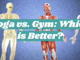 Yoga vs. Gym: Which is Better?